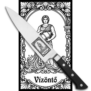   Satake Satoru Gyuto (Chef's) engraved Japanese kitchen knife HOROSCOPE AQUARIUS - Japanese Quality in Your Kitchen