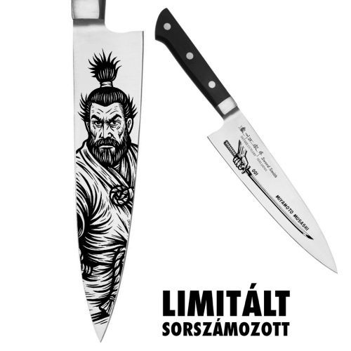 Satake 802-789 japan gyuto konyhakes