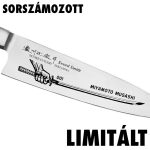 Satake Satoru Gyuto (Chef's) engraved Japanese kitchen knife Dragon - Japanese Quality in Your Kitchen