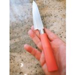 Satake Sword Smith Macaron Universal Japanese Kitchen Knife 12 cm – Japanese quality in your kitchen