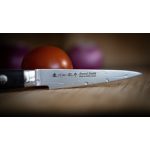 Satake Daichi Damaszener Japanisches Schälmesser 9 cm - Japanische Qualität für die Küche