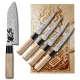 Satake Steak készlet 5 részes - 1 db Satake Megumi Santoku Steak Bull Japán konyhakés és 1 db Satake Megumi Japán  4 részes steak készlet díszdobozban